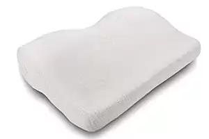 Memory Foam Butterfly Pillow